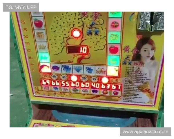 水果老虎机价格表最新2024年详细报价及购买指南