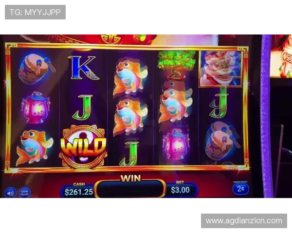 2024年最受欢迎的老虎机注册平台排行榜及注册流程详细指南