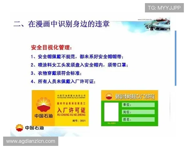 老虎机在线登录流程详解,确保每一次登录都安全顺畅无忧 老虎机在线登录流程详解,确保每一次登录都安全顺畅无忧