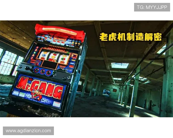 解密老虎机平台官网的运营模式：为何某些平台受欢迎